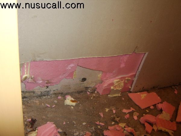  비만오면새는외부누수(안에서아무리보수해야소용없음) 