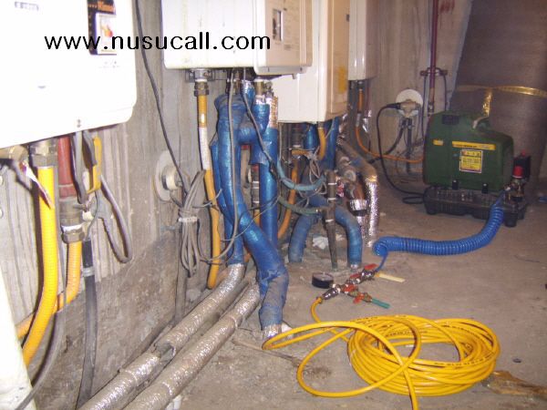 누수도 진화하는가? 