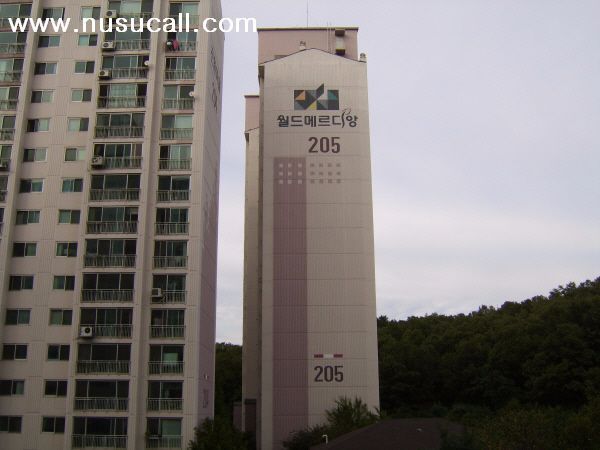 김포 월드 메르디앙 pp-c온수관 누수 