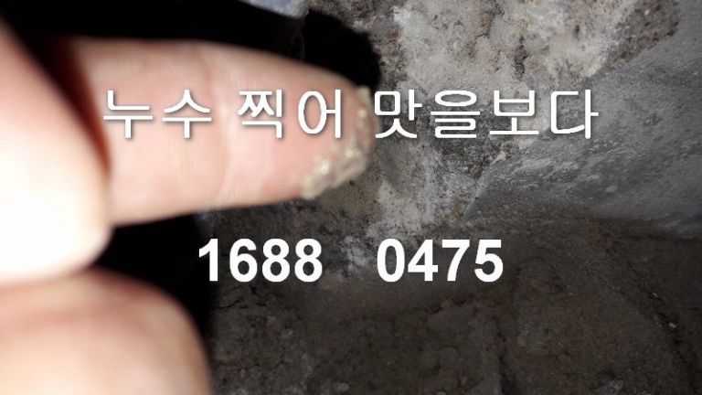 시흥시 정왕동 다세대주택 누수공사